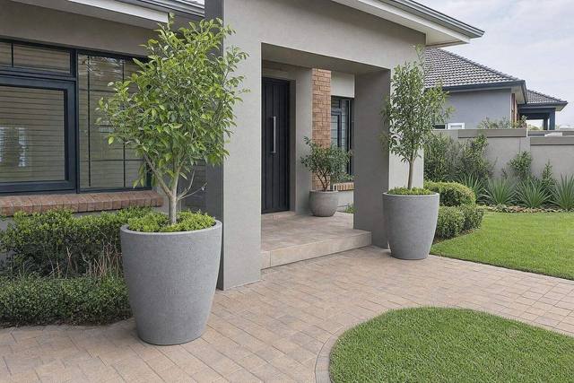 Planters & pots