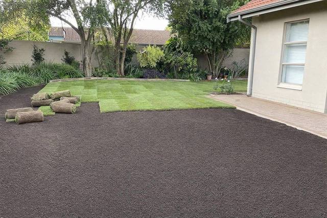 New lawn on topsoil
