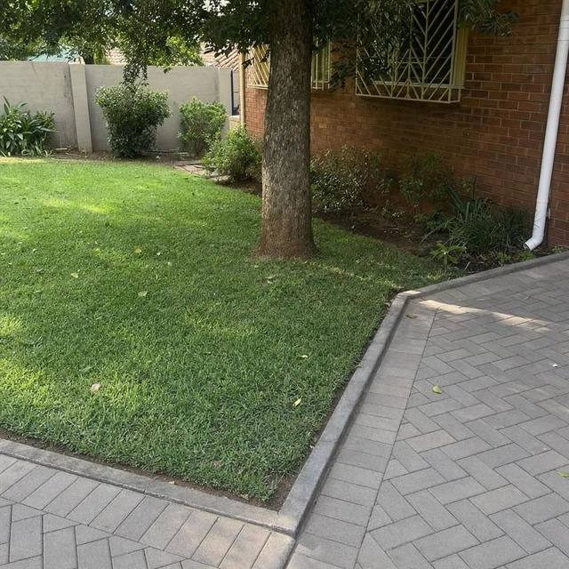 LM grass lawn