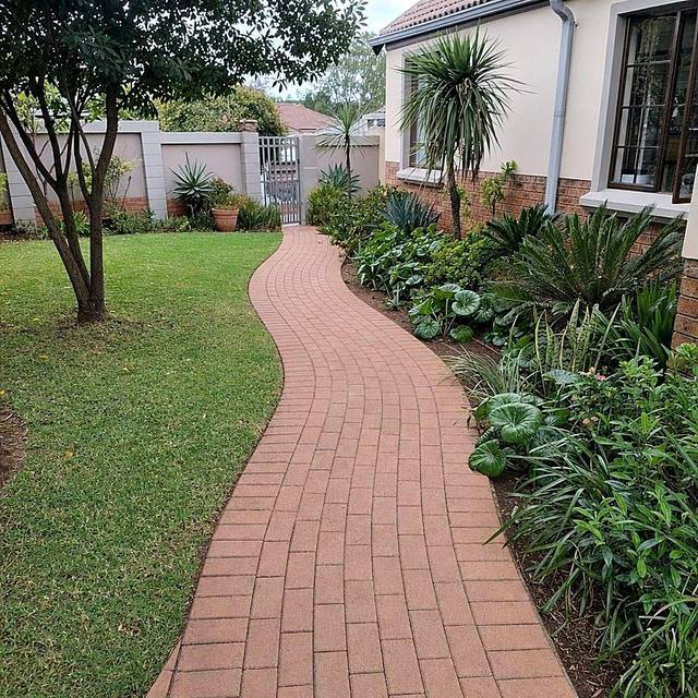 Curved clay paver path